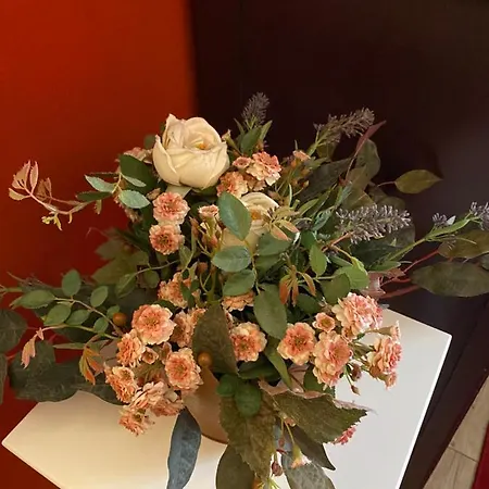 Binot Nocleg ze śniadaniem 4*