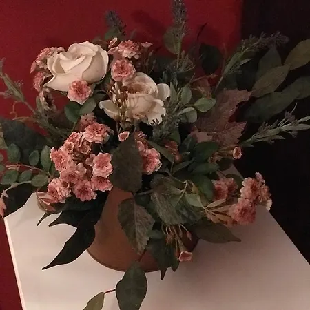 Binot Nocleg ze śniadaniem Carmagnola